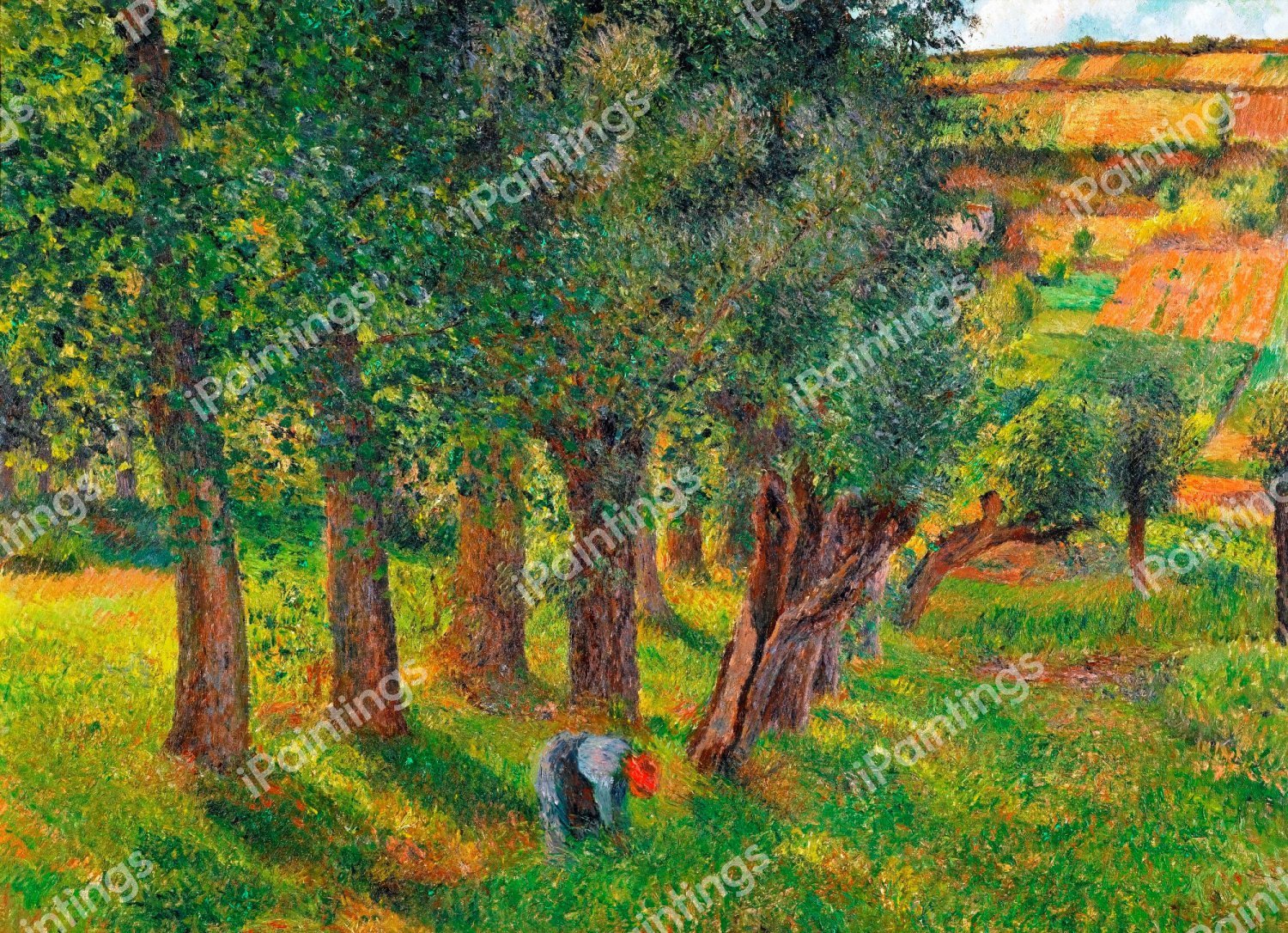 Le Chou a Pontoise. The painting by Camille Pissarro
