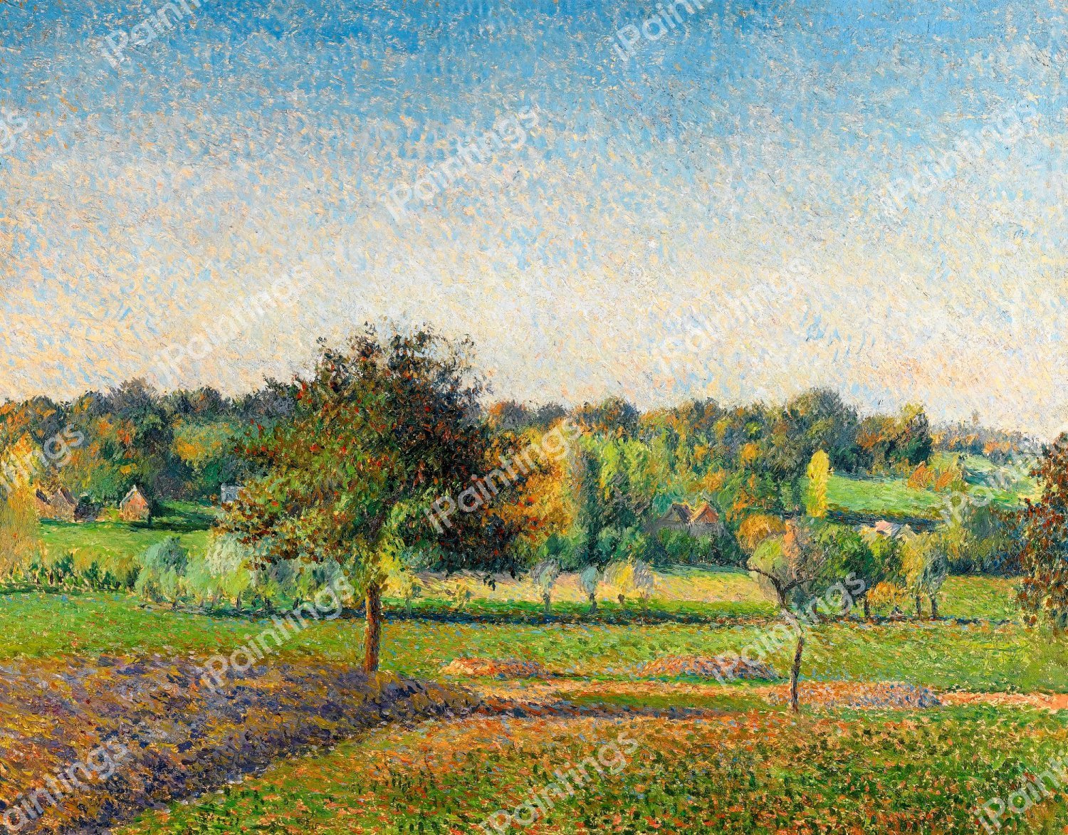 Prairie a Eragny. The painting by Camille Pissarro