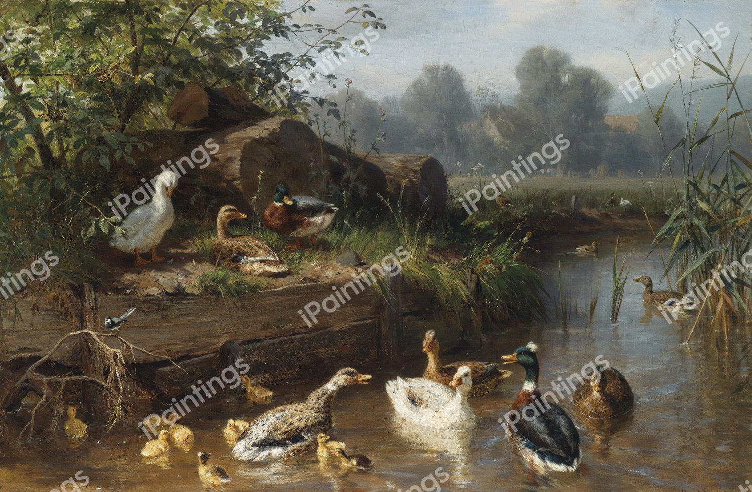 Ducks on the River . The painting by Carl Jutz