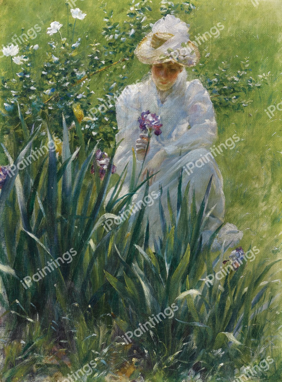 The Iris Bed. The painting by Charles Courtney Curran