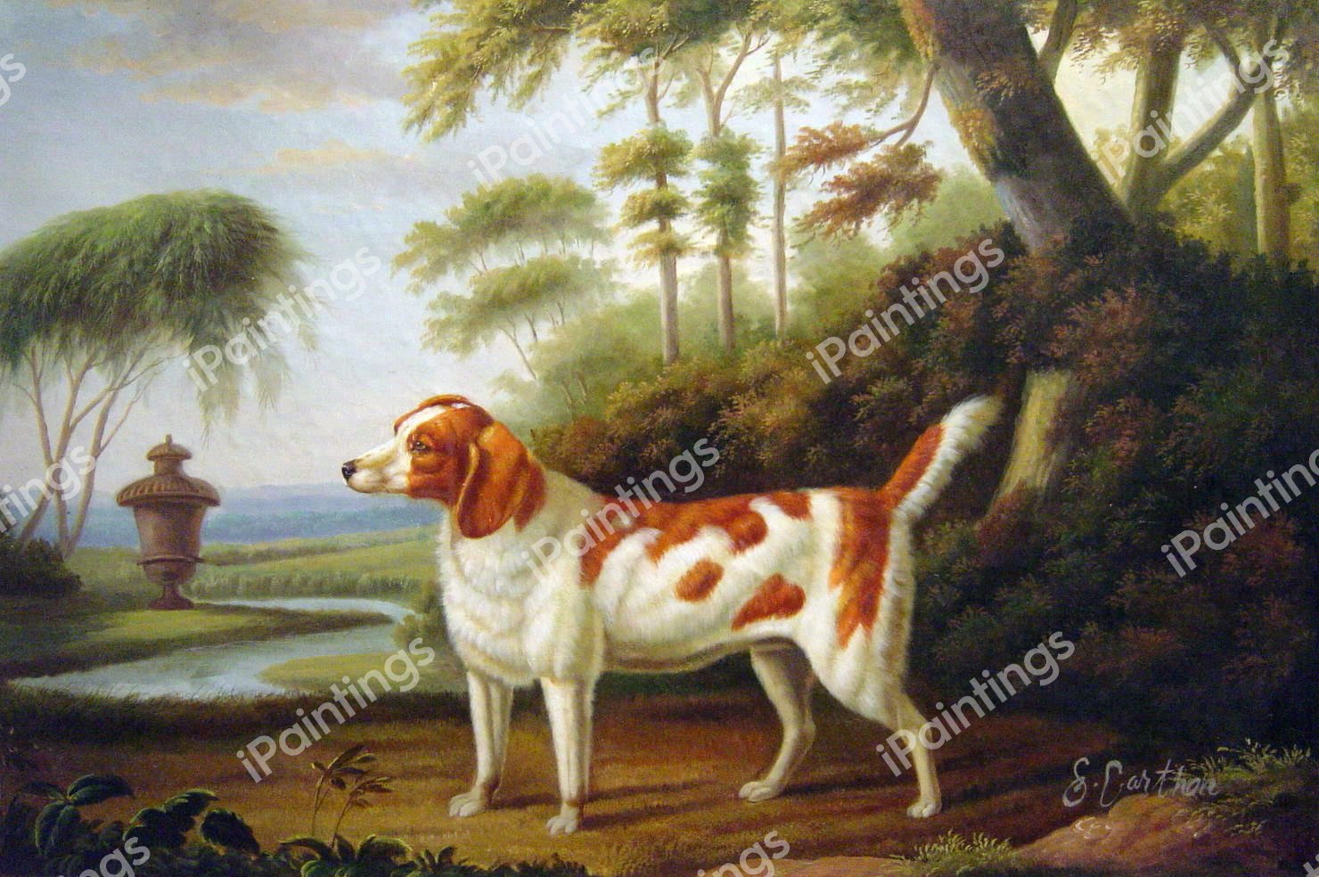 A Welsh Springer Spaniel. The painting by Charles Towne