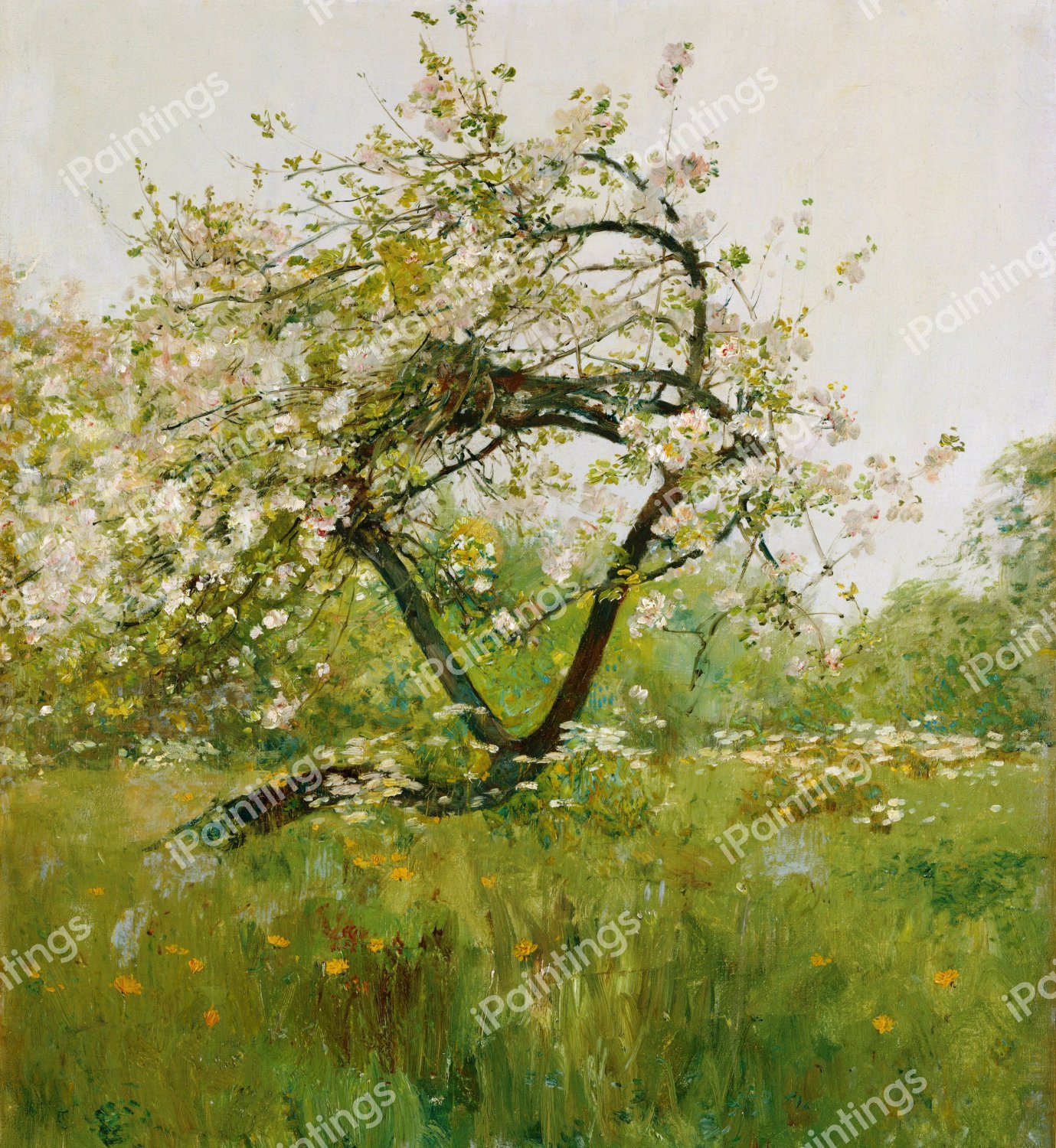 Peach Blossoms—Villiers-le-Bel. The painting by Childe Hassam