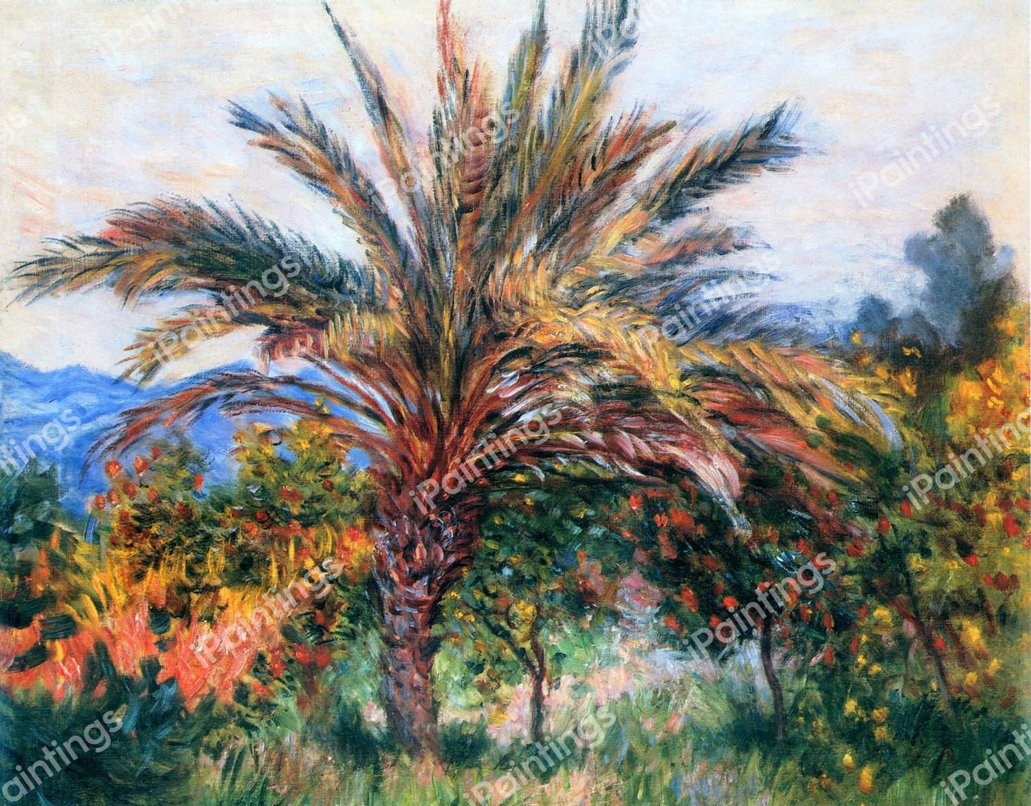 A Palm Tree in Bordighera. The painting by Claude Monet