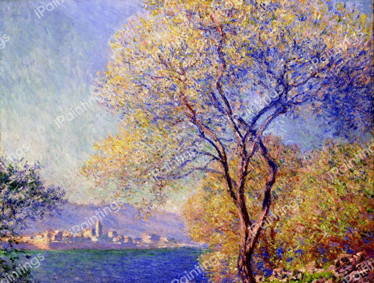 Antibes Seen from the Salis Gardens. The painting by Claude Monet
