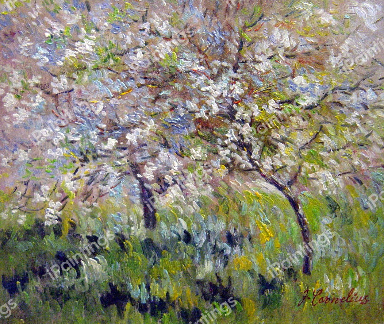 Apple Trees In Bloom At Giverny. The painting by Claude Monet