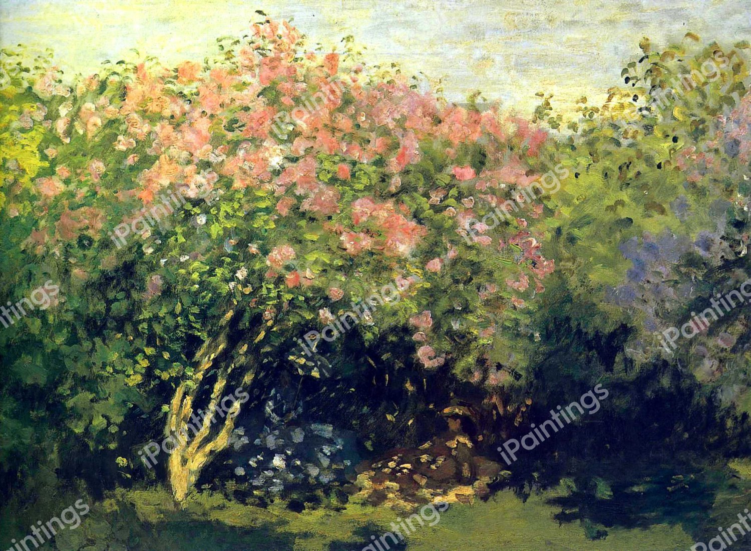 Lilacs in the Sun. The painting by Claude Monet