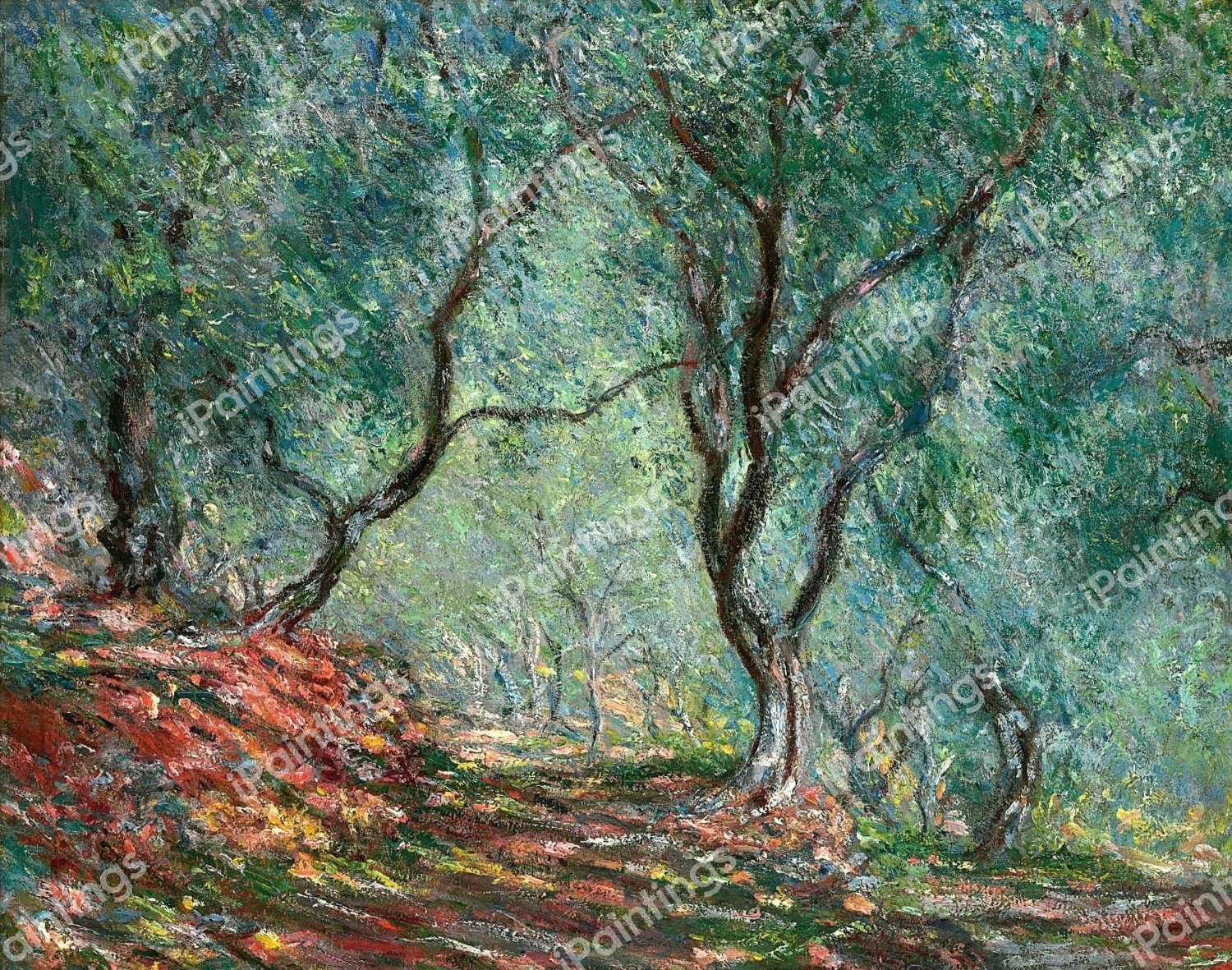 Olive Tree in the Moreno Garden. The painting by Claude Monet