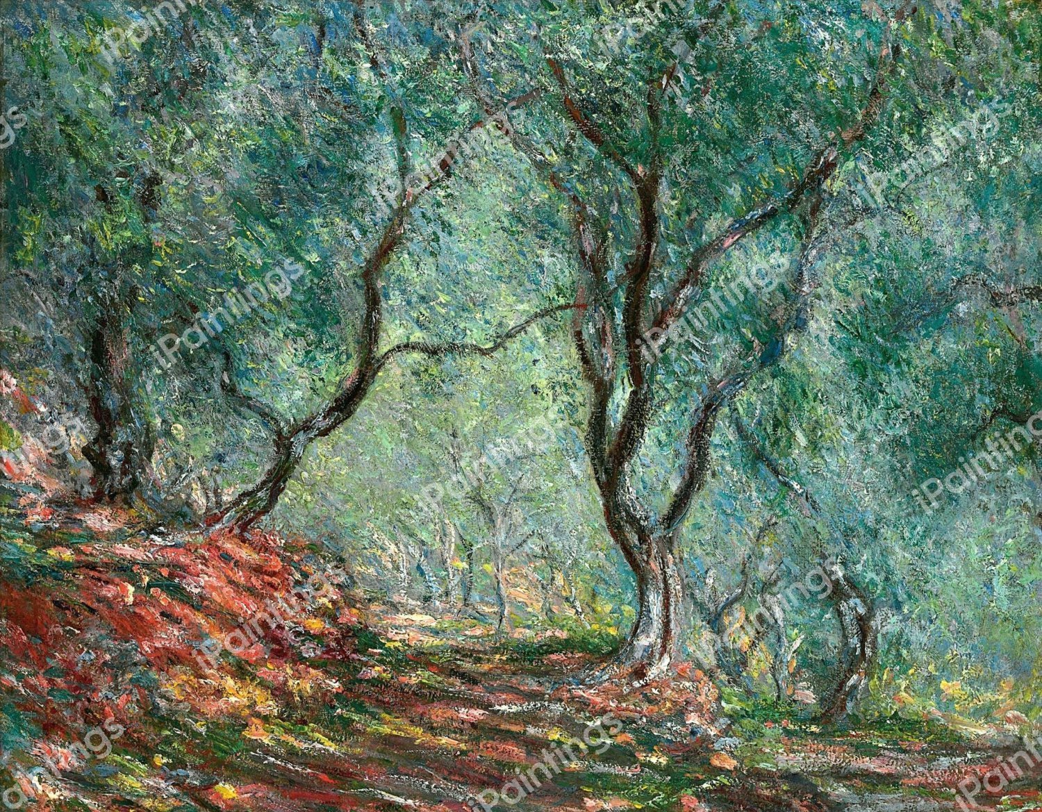 Olive Tree Wood in the Moreno Garden. The painting by Claude Monet