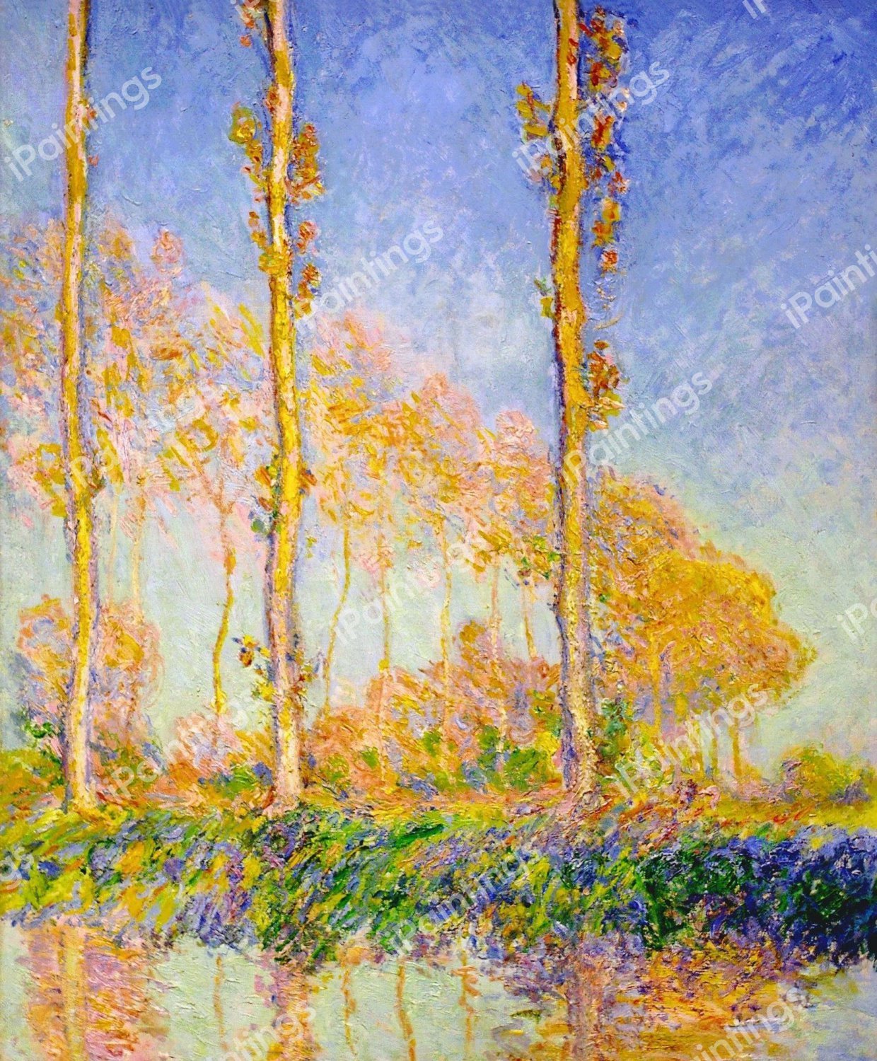 Poplars, Autumn, Pink Effect. The painting by Claude Monet