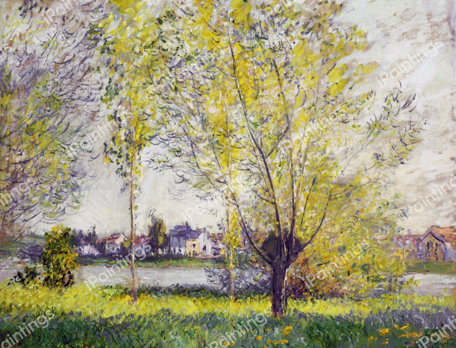 The Willows. The painting by Claude Monet