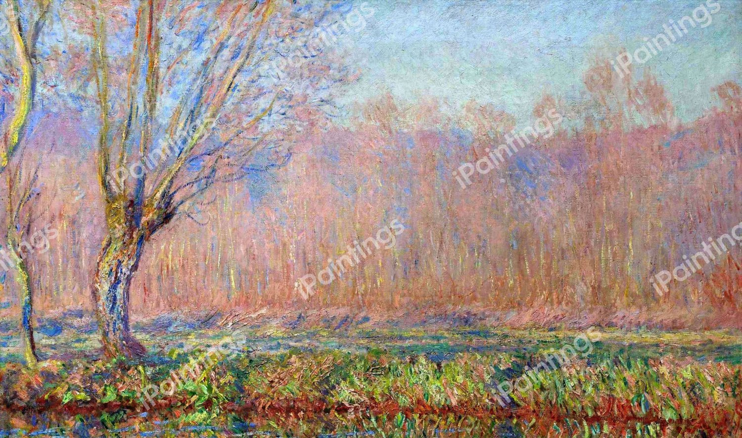 The Willows. The painting by Claude Monet
