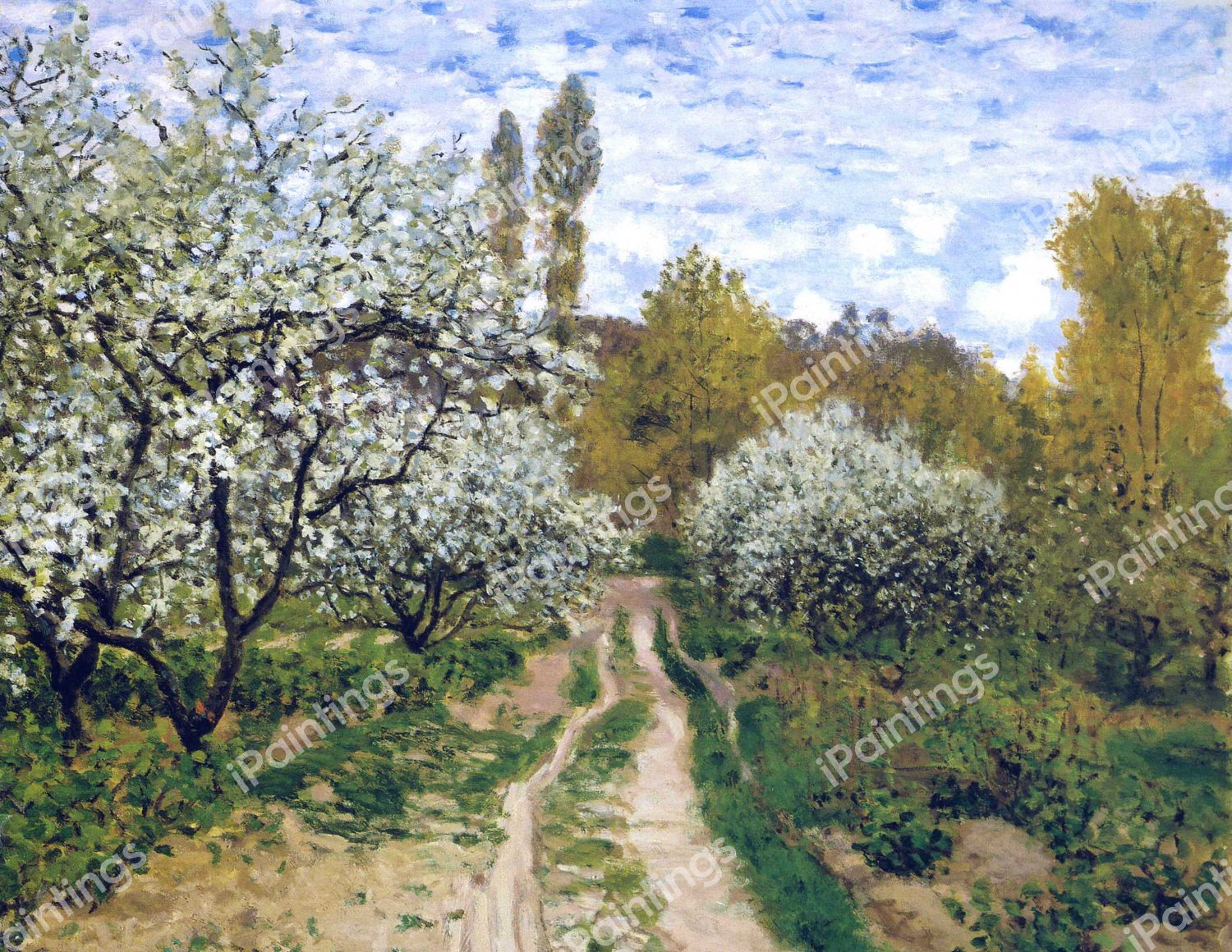 Trees in Bloom. The painting by Claude Monet
