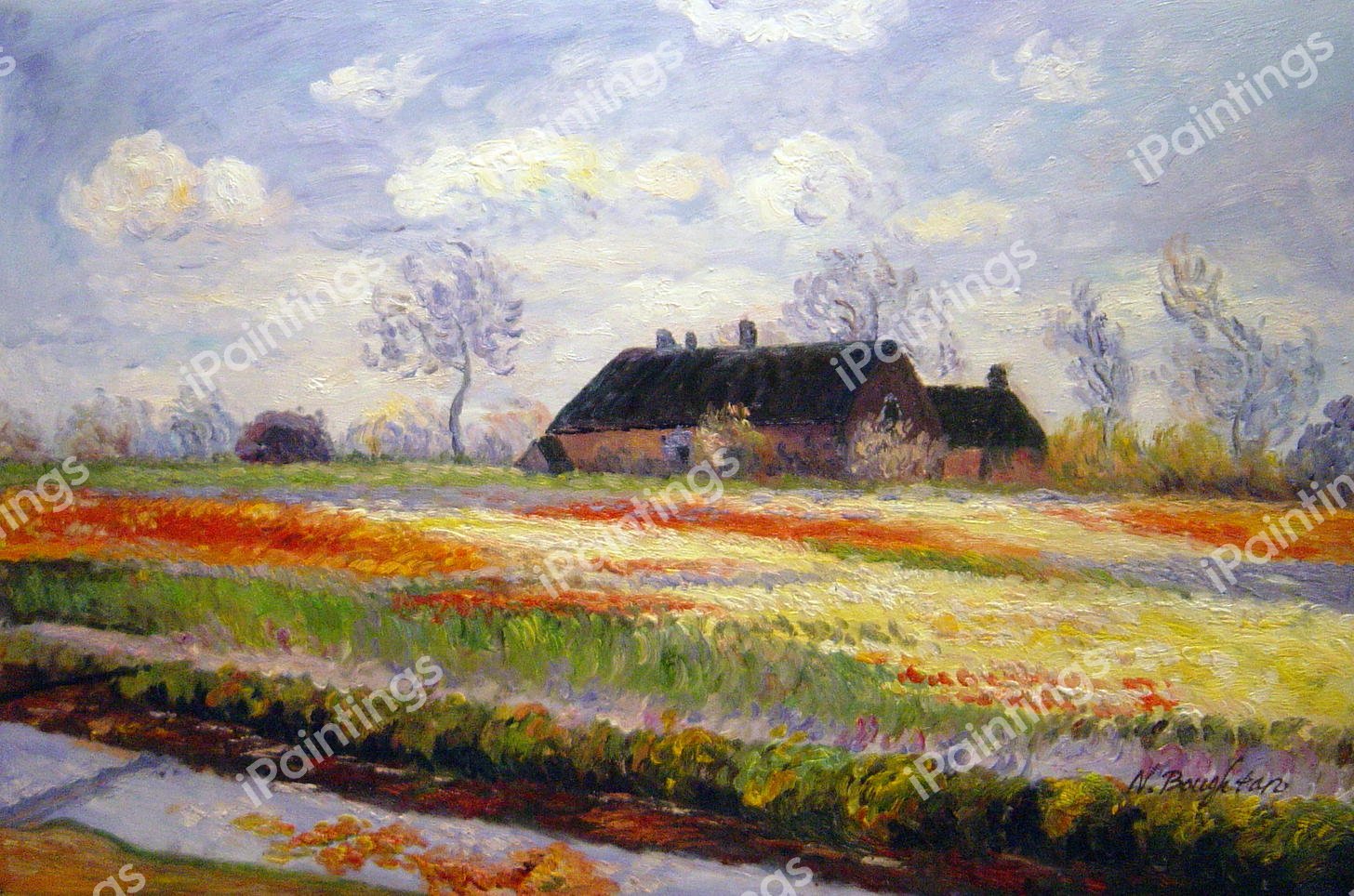 Tulip Fields At Sasenheim. The painting by Claude Monet