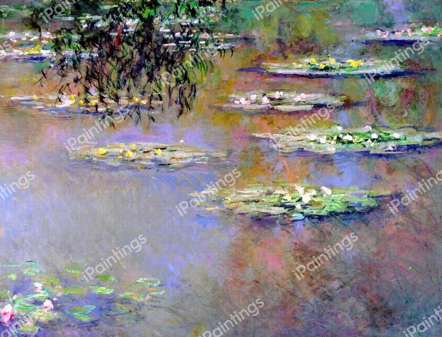 Water Lilies, 1903. The painting by Claude Monet
