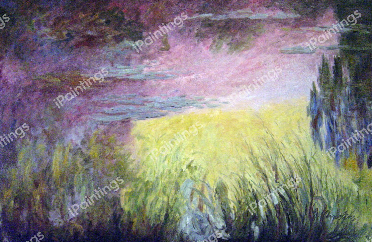 Waterlilies At Sunset. The painting by Claude Monet
