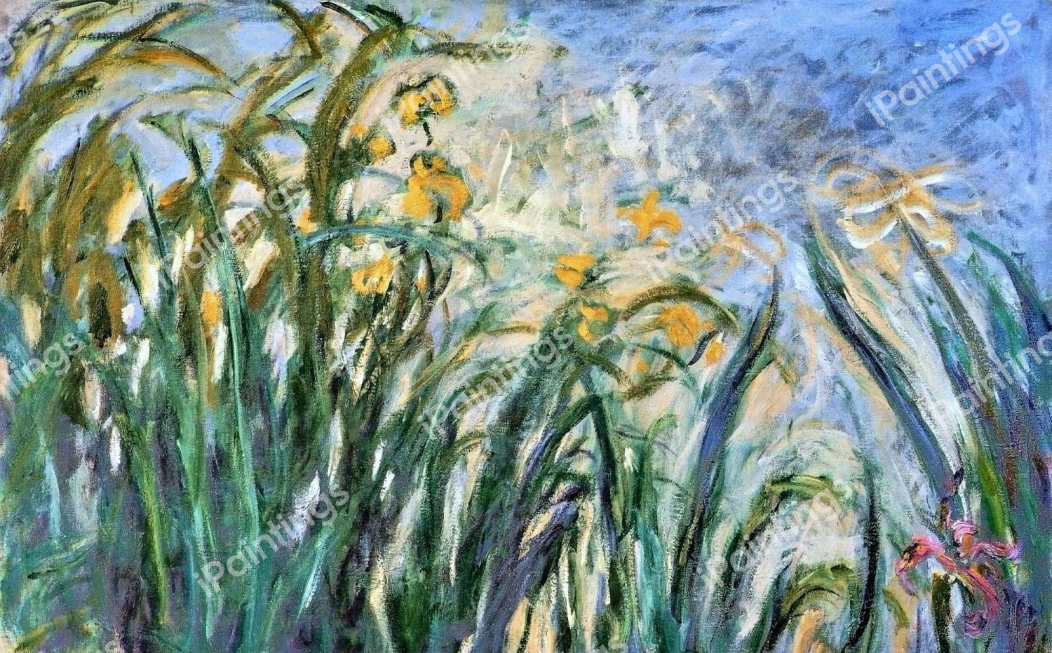 Yellow Irises and Malva. The painting by Claude Monet