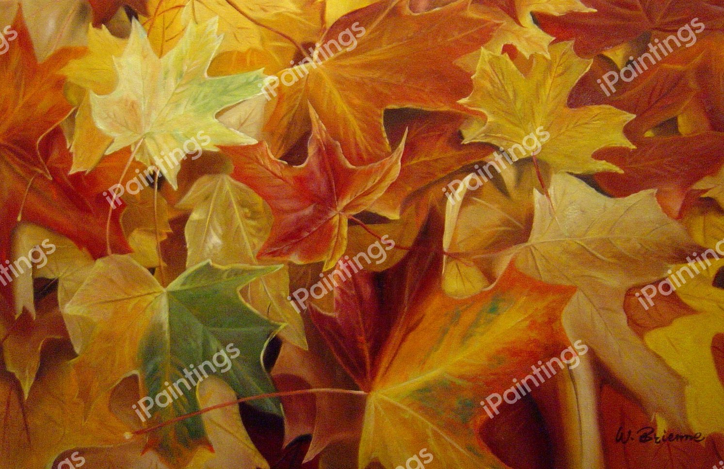 Colorful Autumn Leaves. The painting by Our Originals