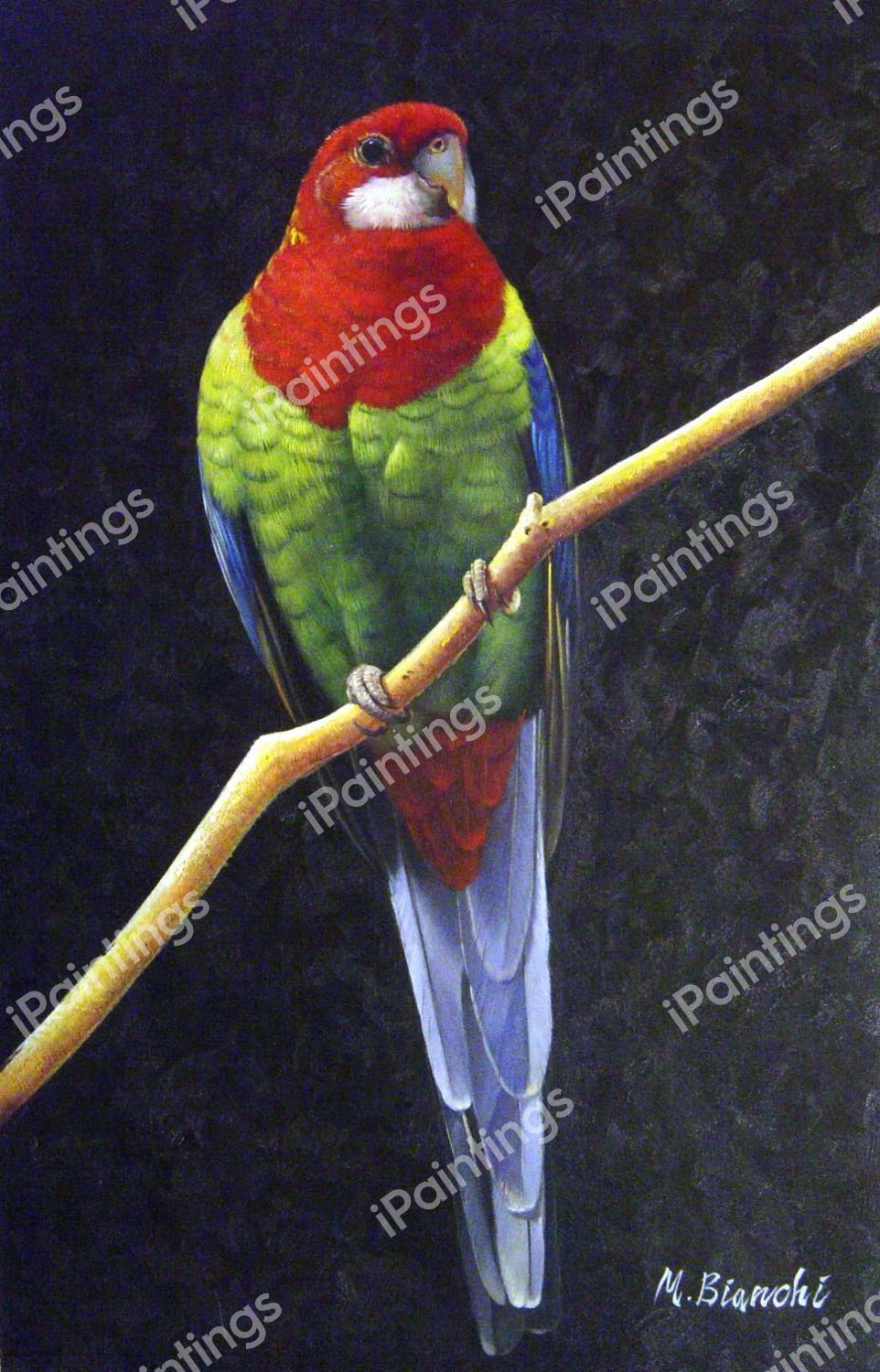 Colorful Bird Perched On A Branch. The painting by Our Originals