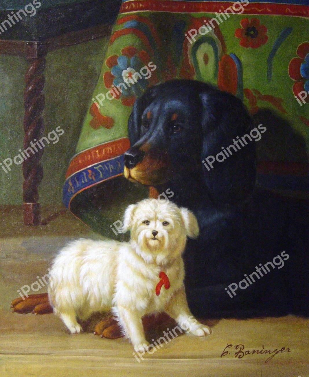 Gordon Setter & Maltese. The painting by Conradyn Cunaeus