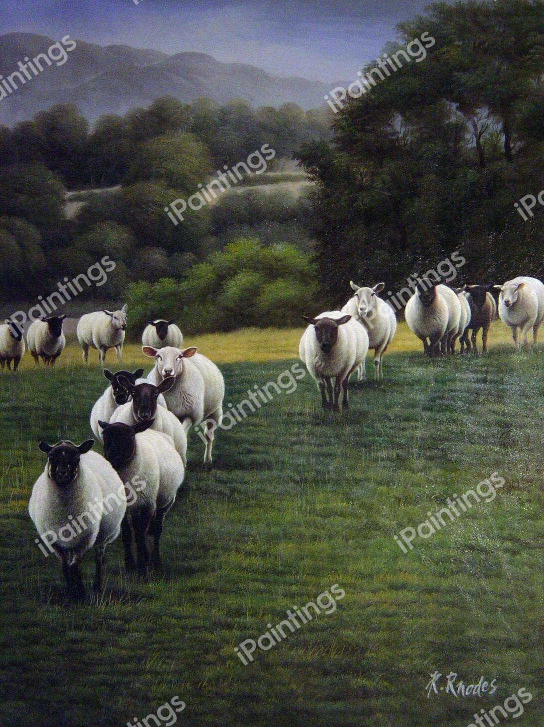Counting Sheep!. The painting by Our Originals