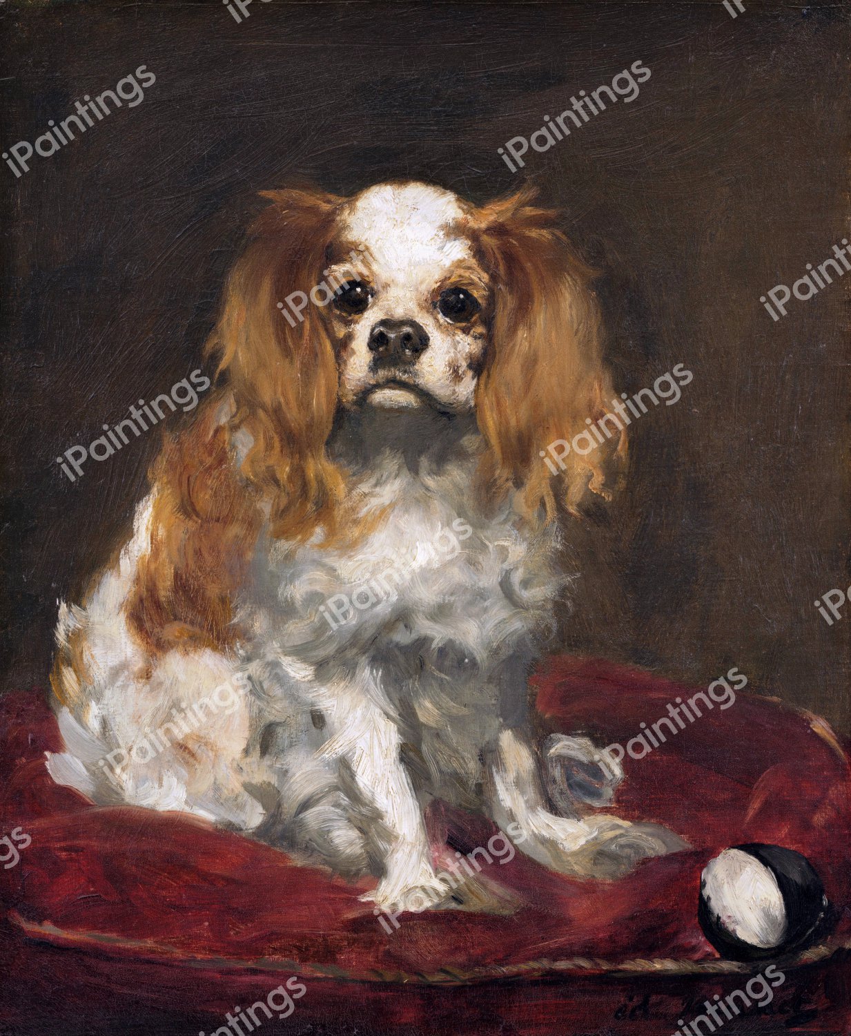 A King Charles Spaniel. The painting by Edouard Manet