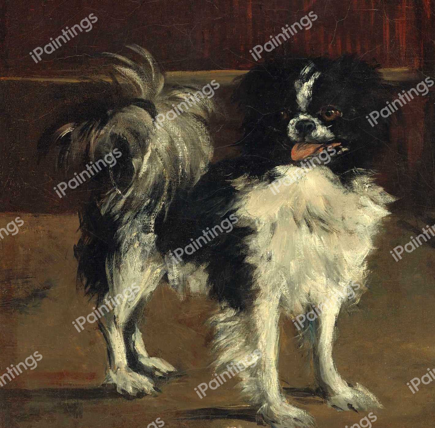 Tama, the Japanese Dog. The painting by Edouard Manet