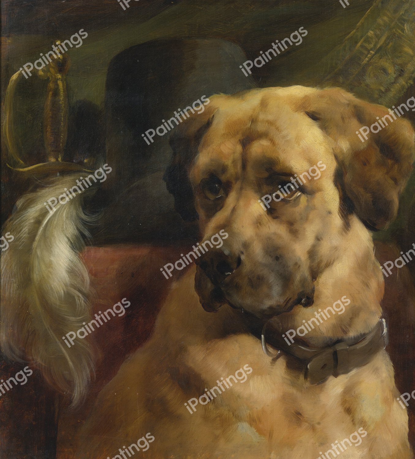 The Head of a Mastiff. The painting by Edwin Douglas