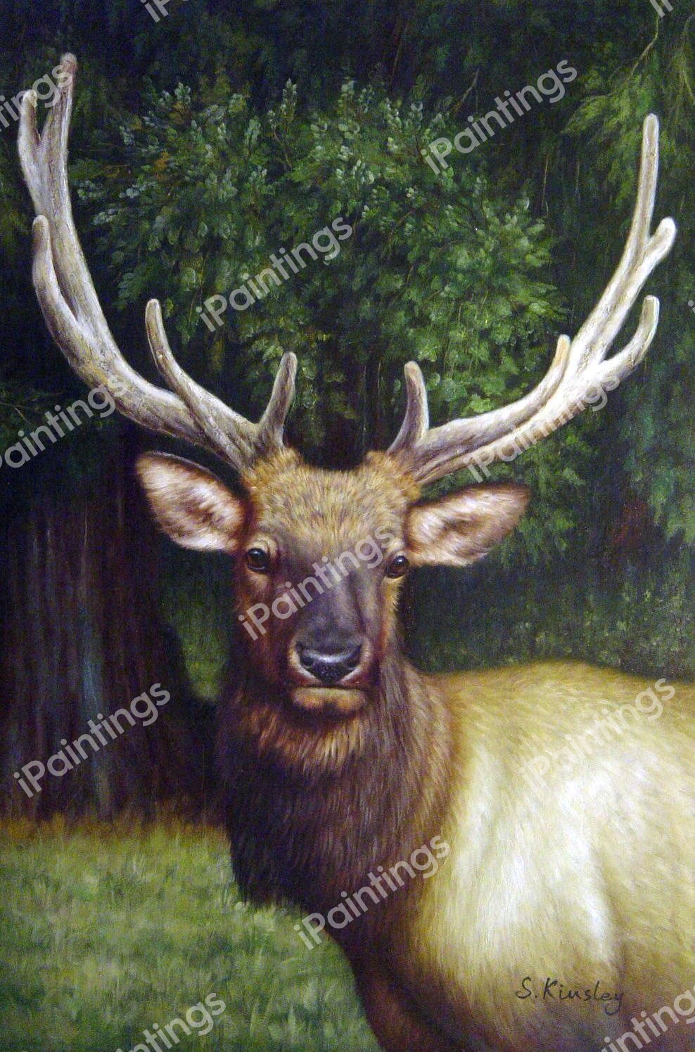 Elk Portrait. The painting by Our Originals