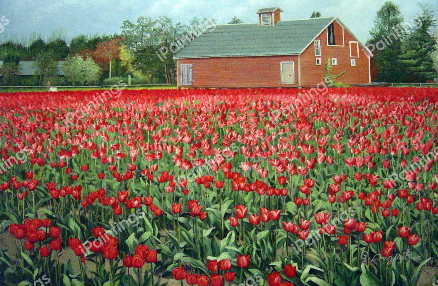 Field Of Tulips. The painting by Our Originals