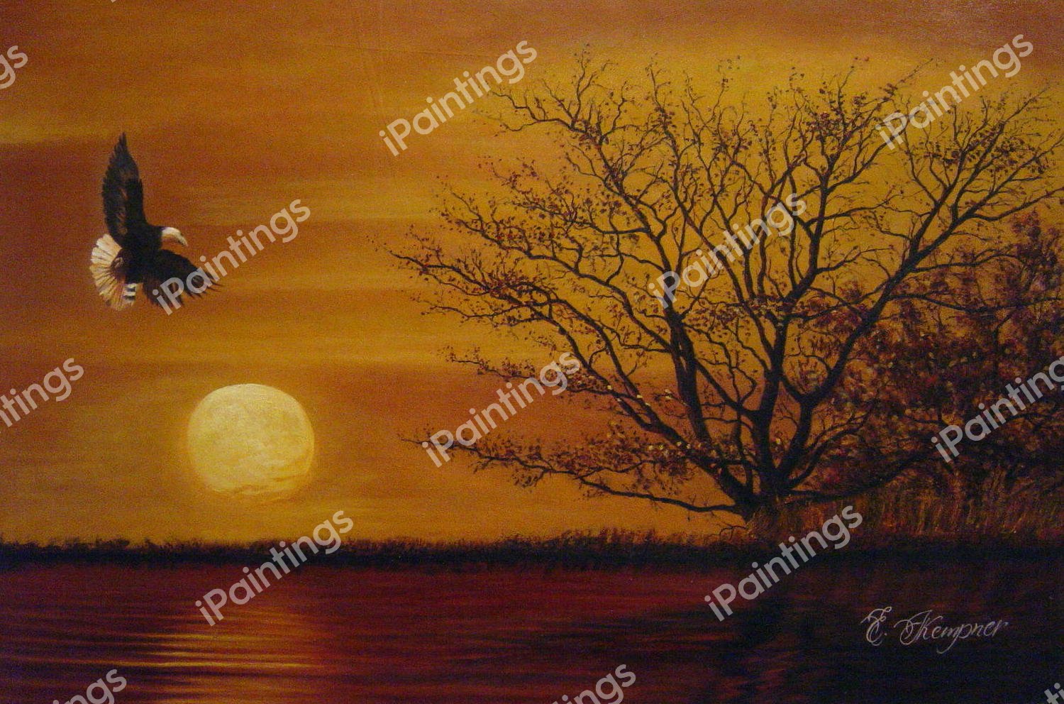 Fly Like An Eagle. The painting by Our Originals