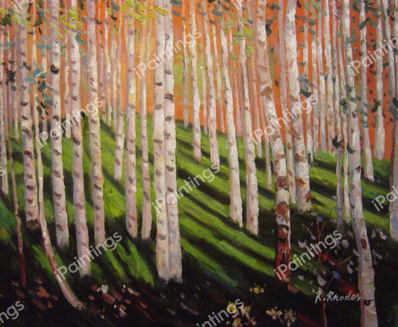 Forest Trees. The painting by Our Originals