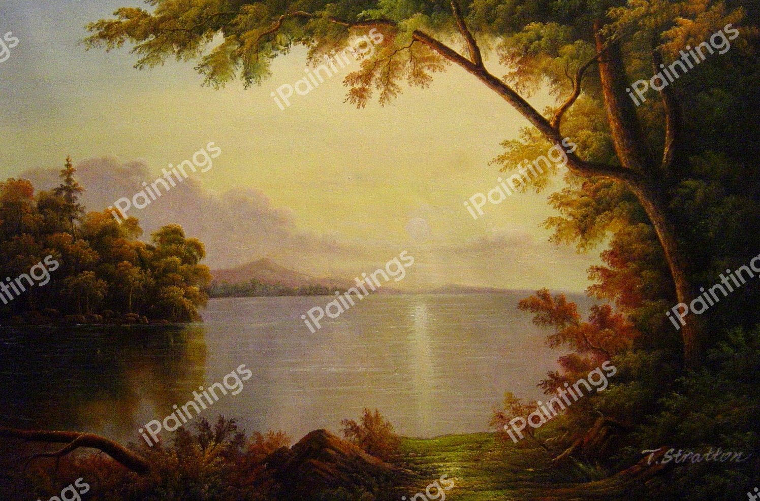 Landscape In The Adirondacks. The painting by Frederic Edwin Church