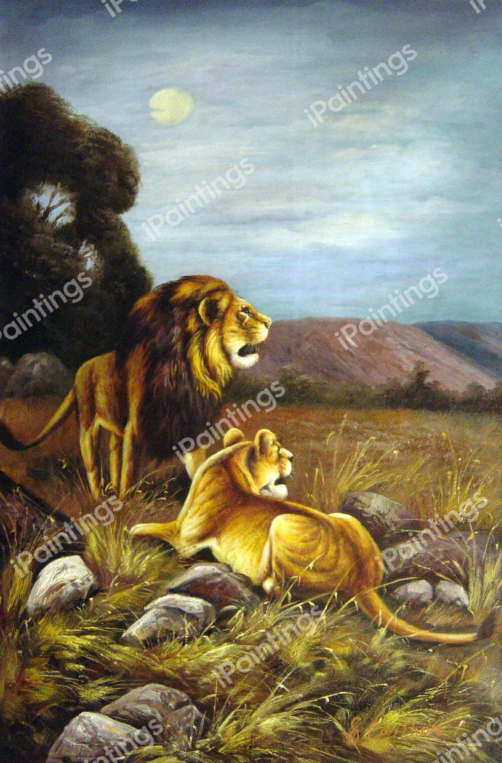 The African Lions. The painting by Friedrich Wilhelm Kuhnert