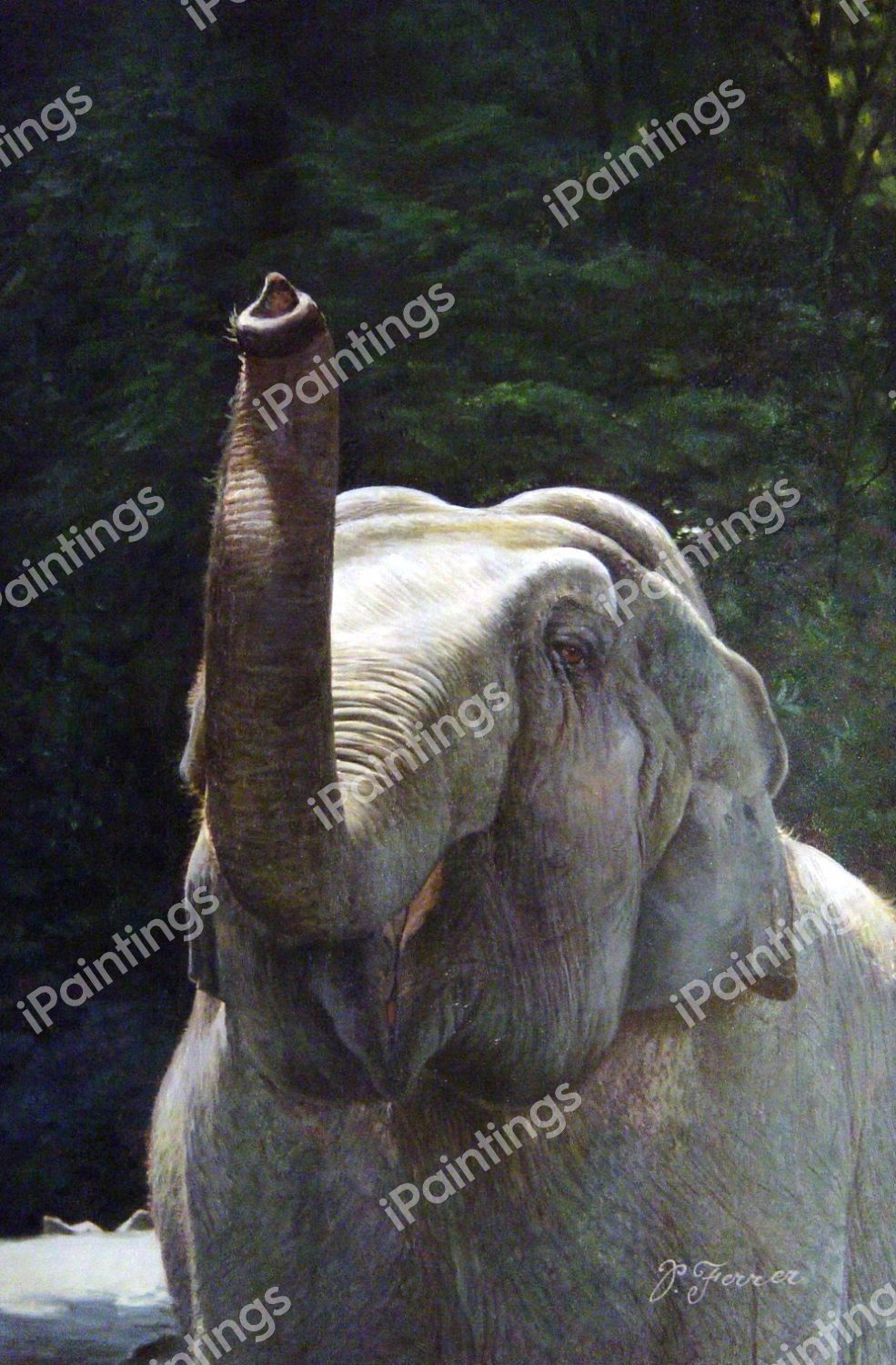 Friendly Elephant. The painting by Our Originals
