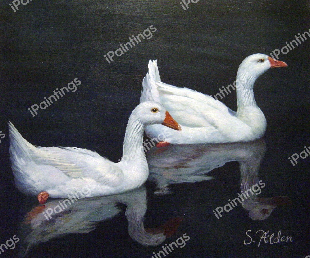 Friendly Geese. The painting by Our Originals