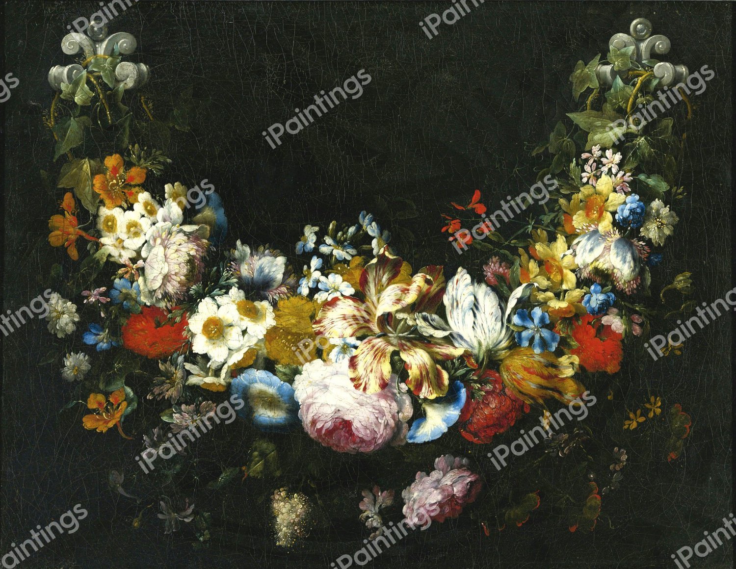 Swag of Flowers. The painting by Gaspar Peeter Verbruggen the Elder