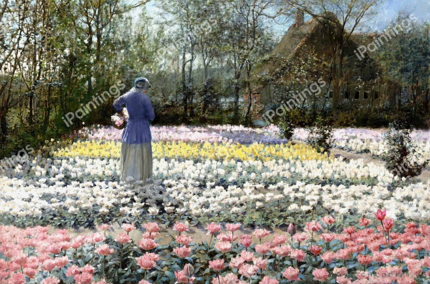 A Tulip Culture. The painting by George Hitchcock