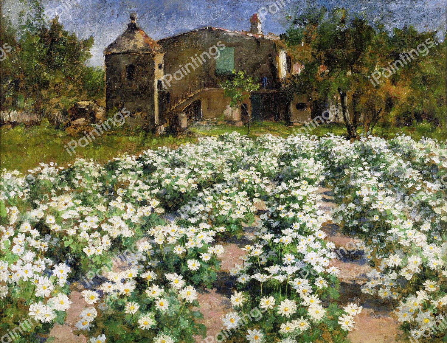 Field of Flowers. The painting by George Hitchcock