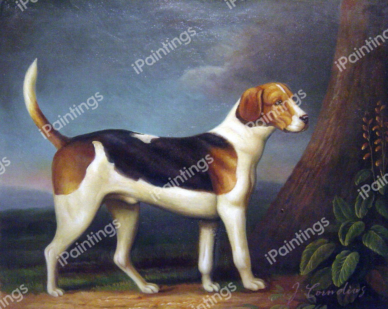 Foxhound, Ringwod. The painting by George Townly Stubbs