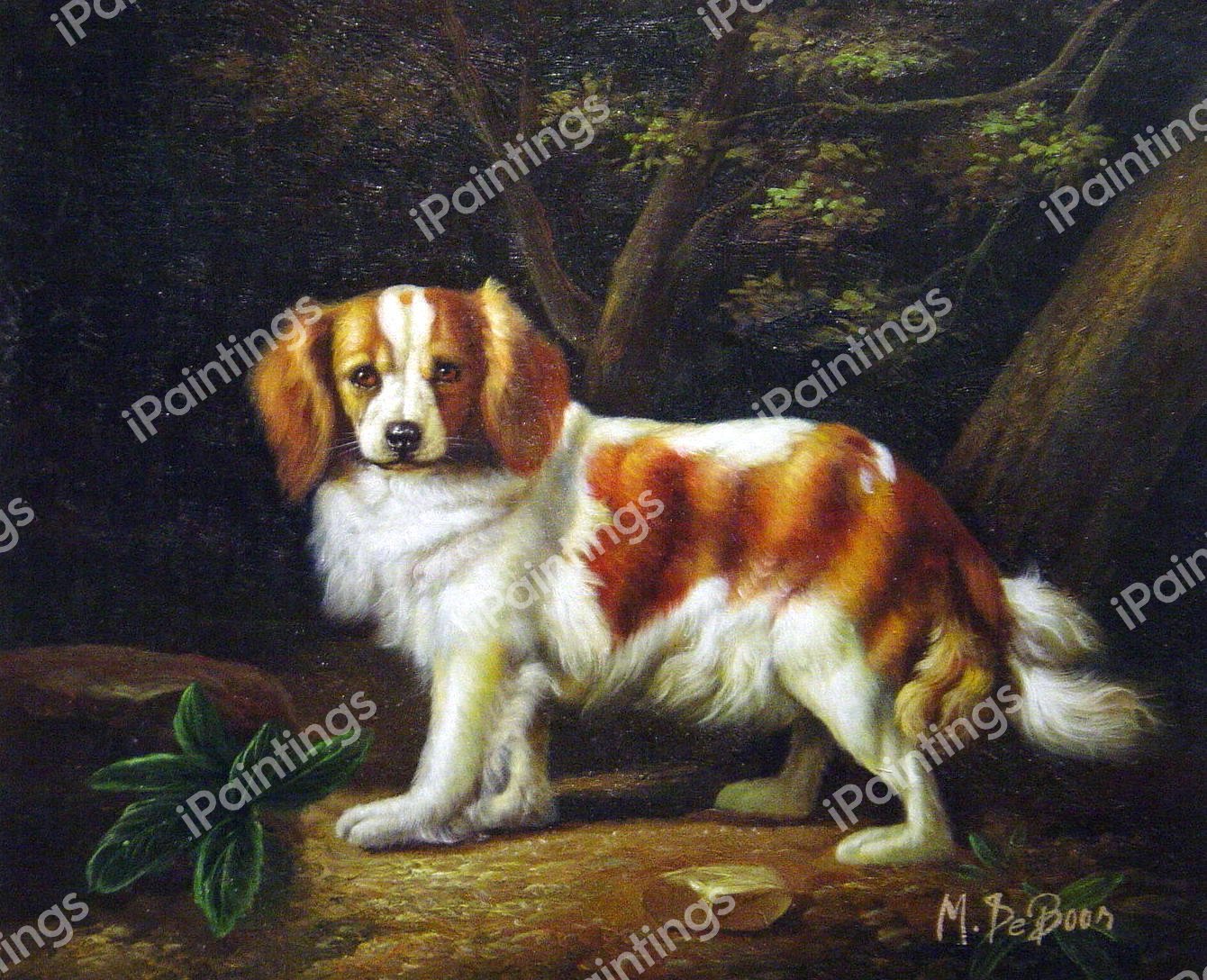 A King Charles Spaniel. The painting by George Townly Stubbs