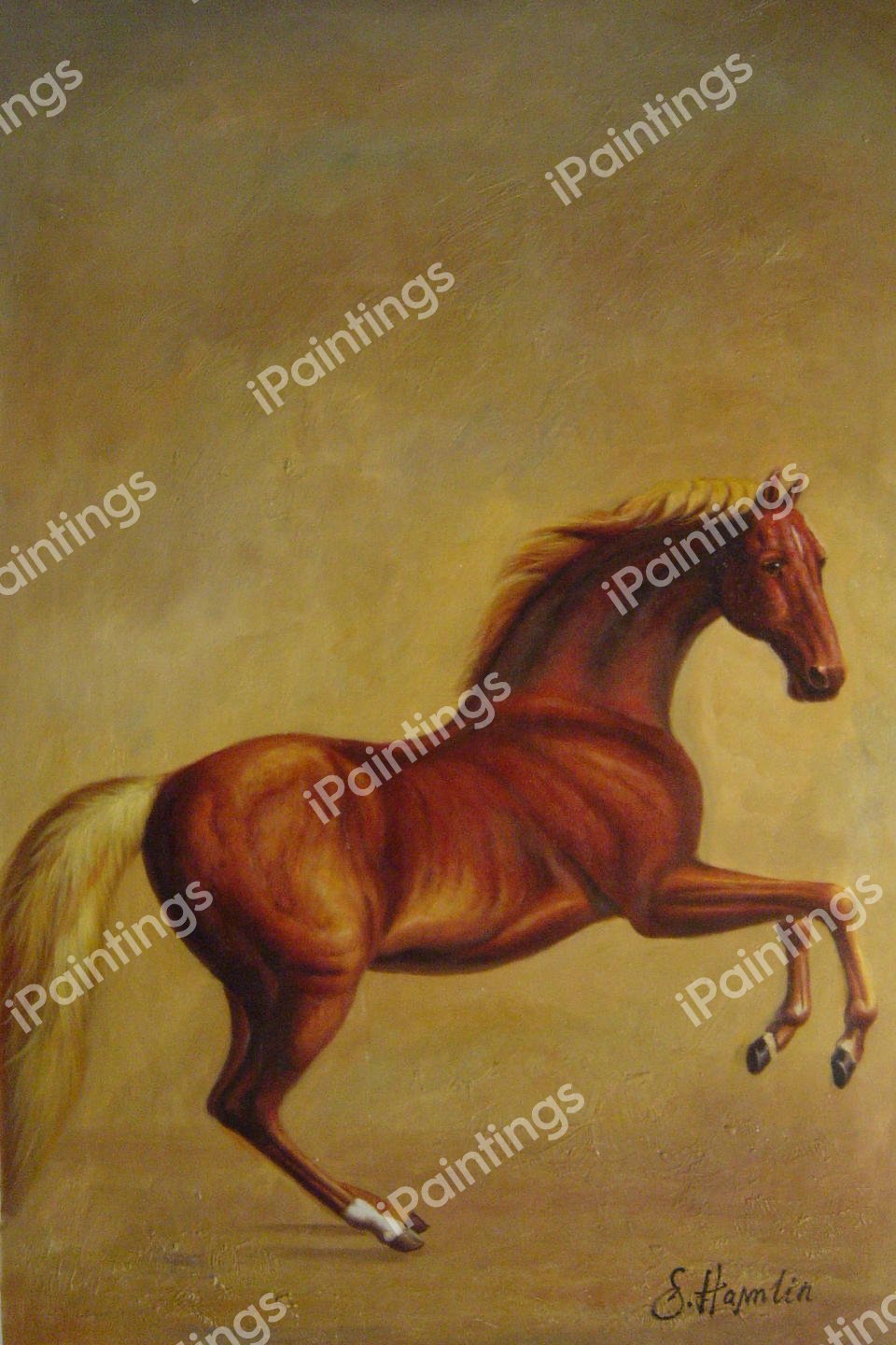 Whistlejacket. The painting by George Townly Stubbs