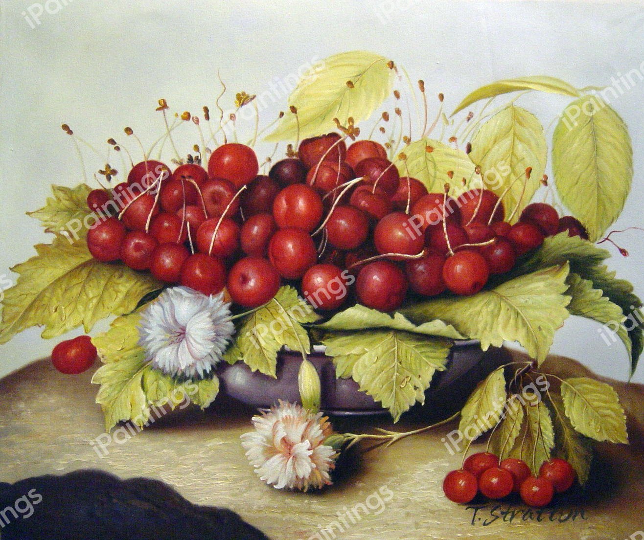 A Dish Of Cherries And Carnation. The painting by Giovanna Garzoni