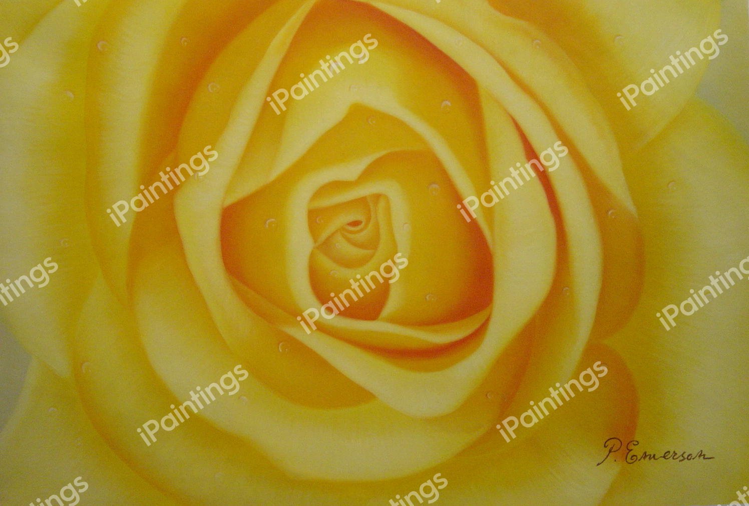 Gorgeous Yellow Rose. The painting by Our Originals
