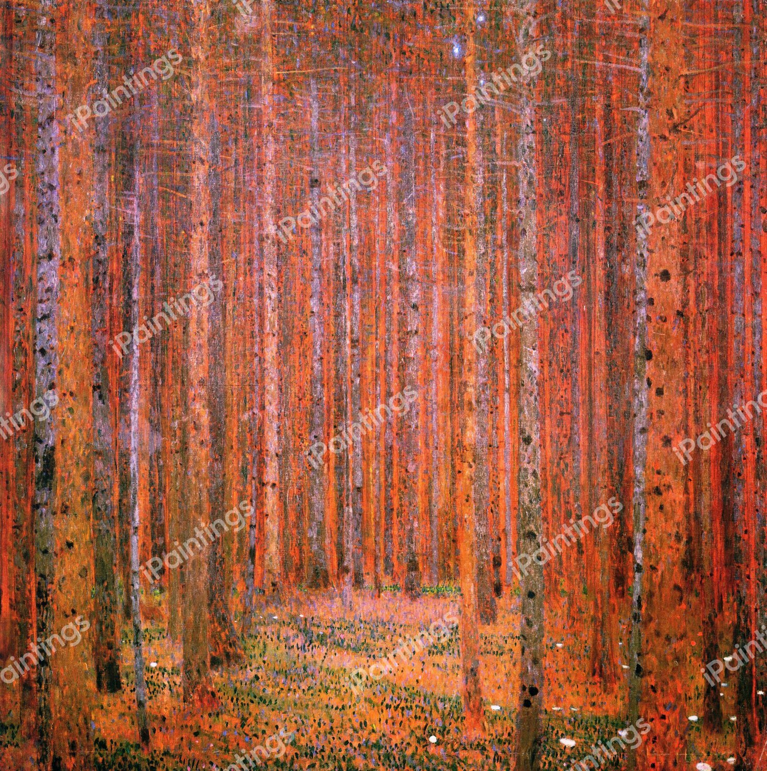 Fir Forest I. The painting by Gustav Klimt