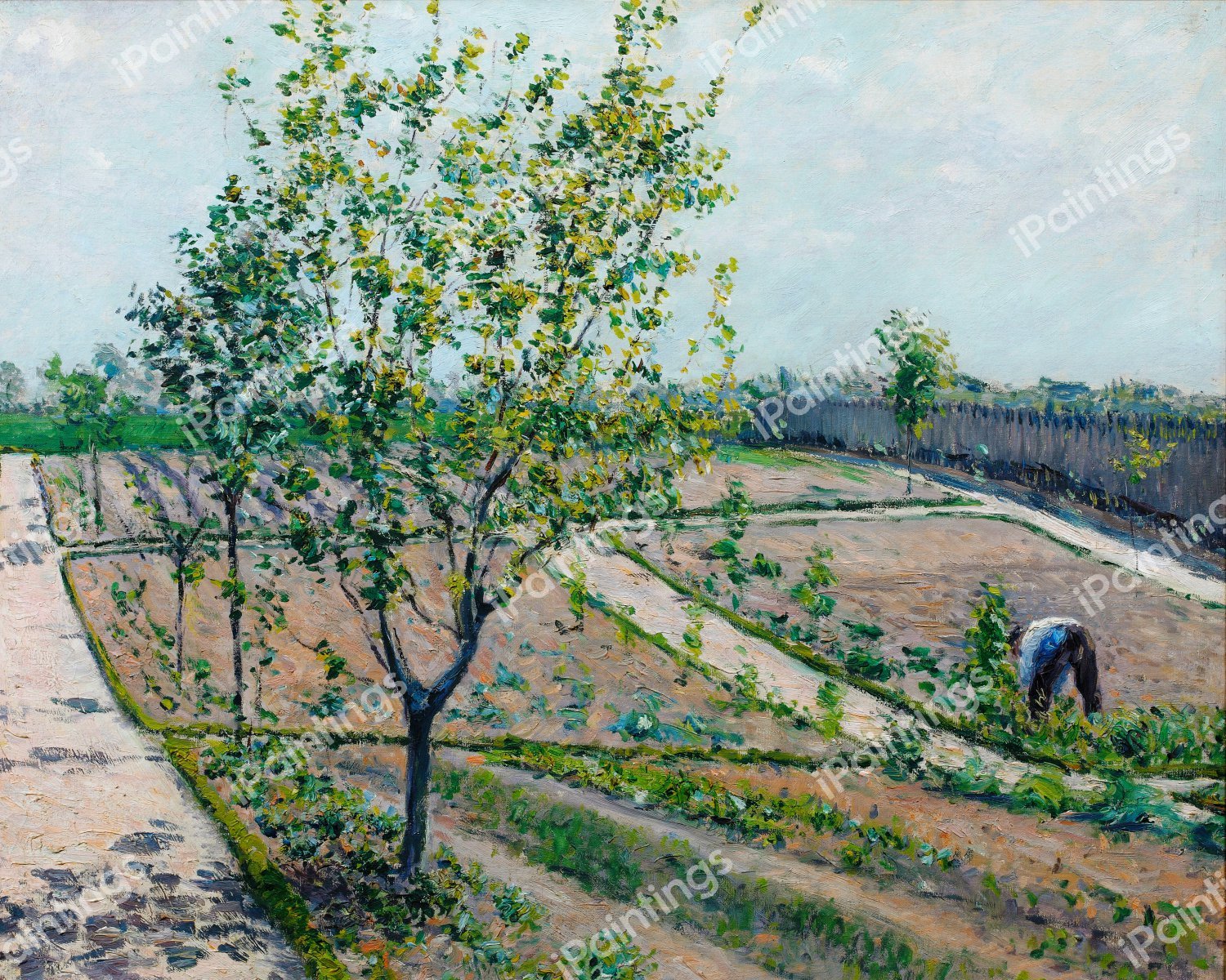 The Kitchen Garden in Petit Gennevilliers. The painting by Gustave Caillebotte