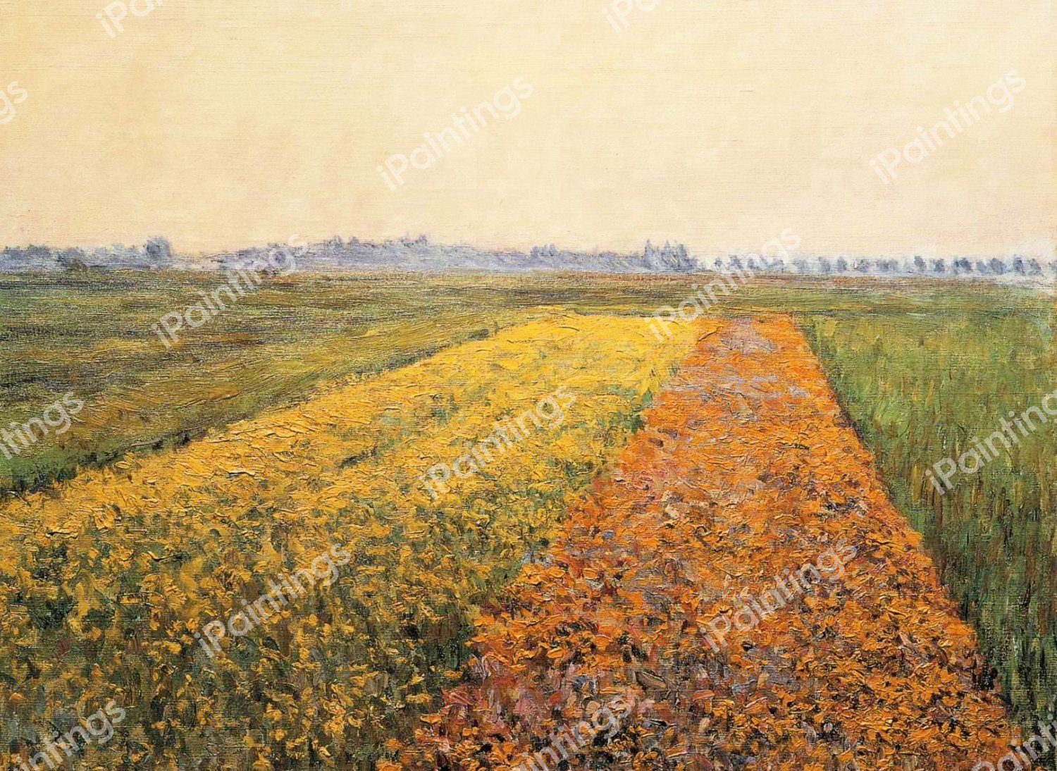 The Yellow Fields at Gennevilliers. The painting by Gustave Caillebotte