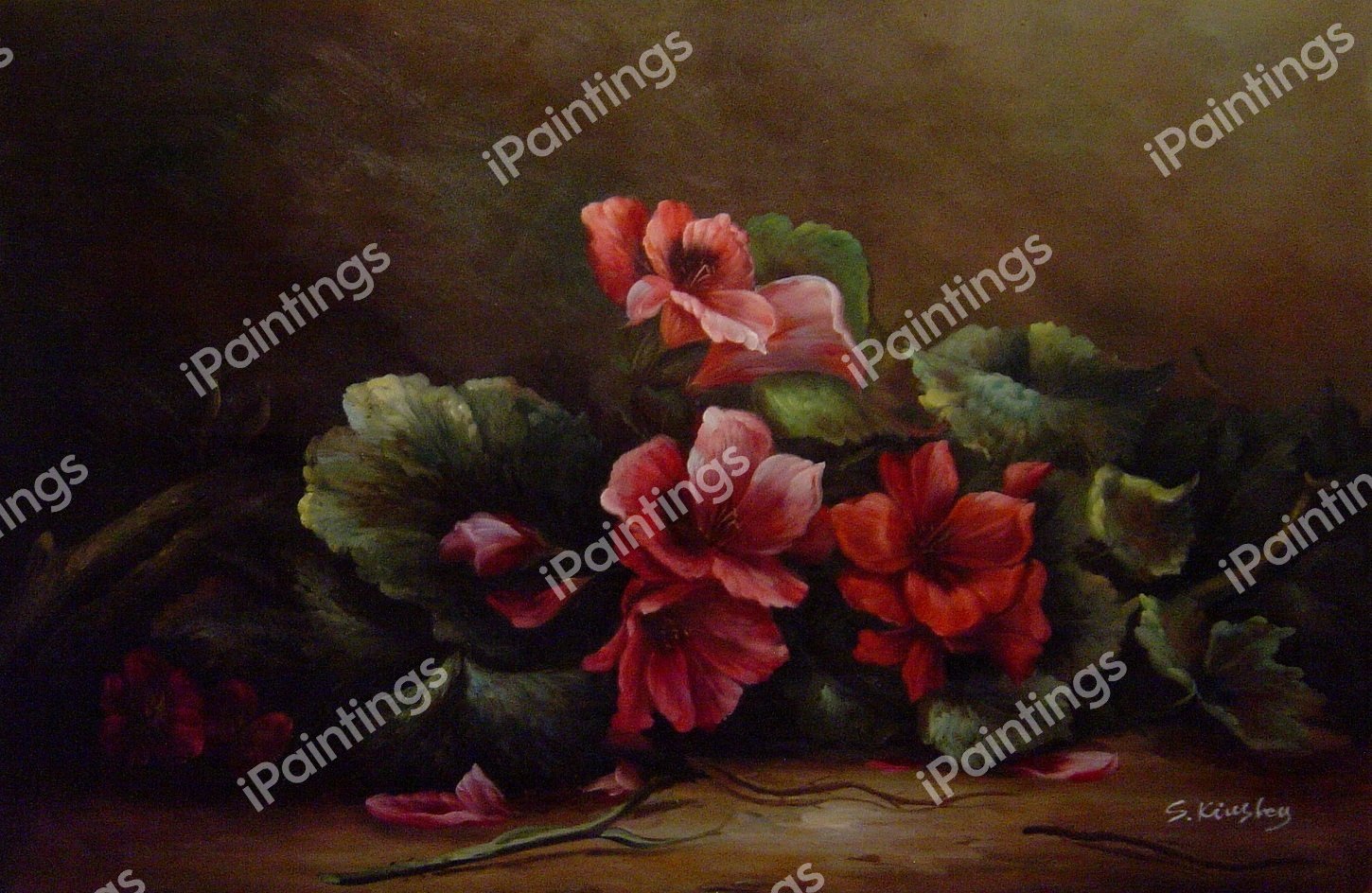 A Study Of Geraniums. The painting by Hector Caffieri