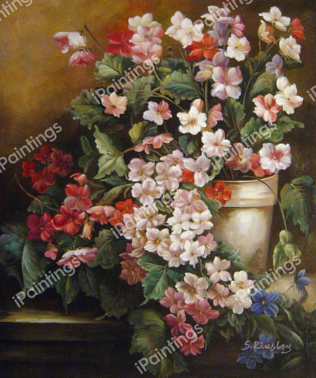 A Study Of Primroses. The painting by Hector Caffieri