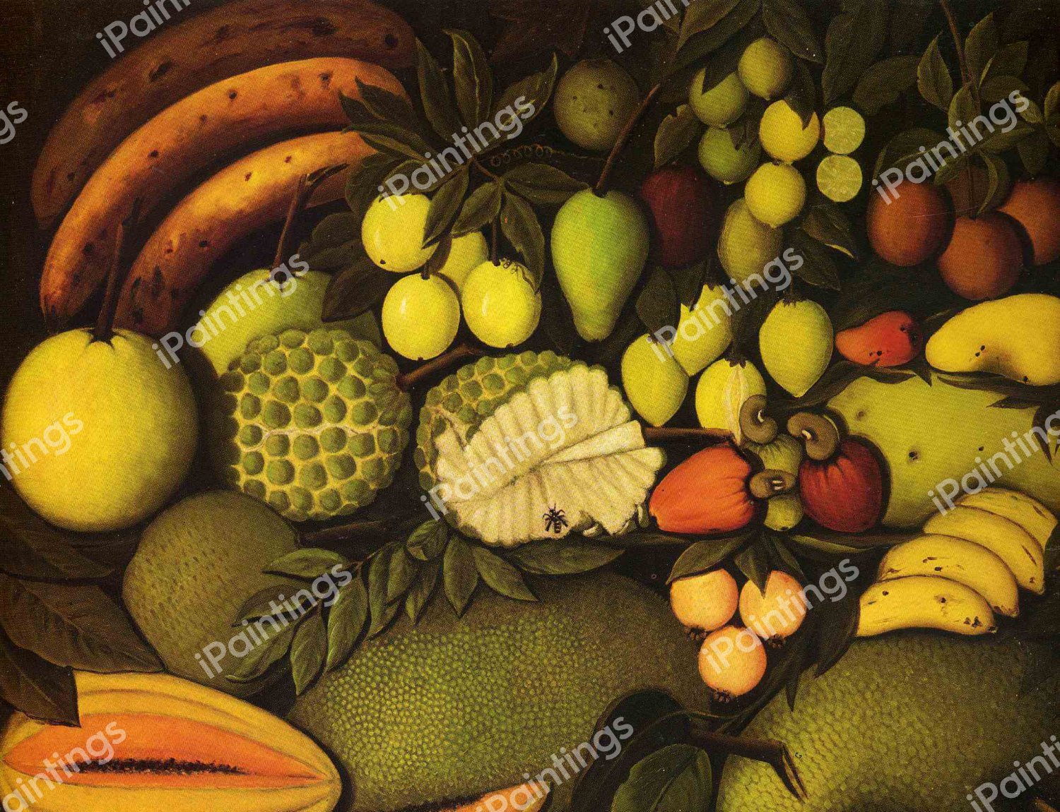 Still Life with Tropical Fruits. The painting by Henri Rousseau