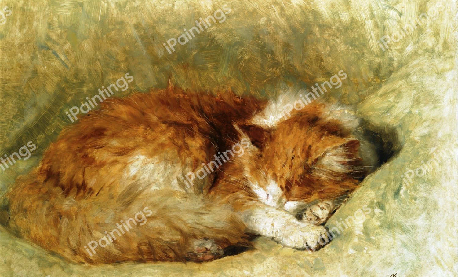 A Sleeping Cat. The painting by Henriette Ronner-Knip